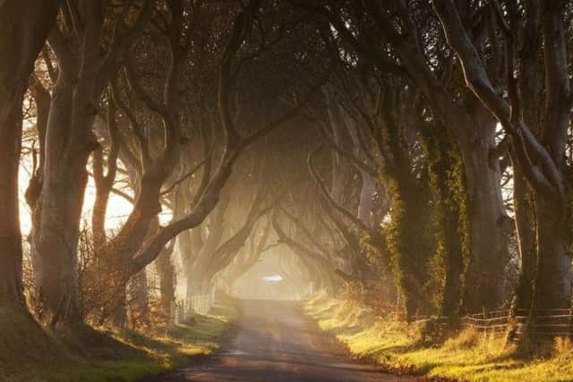 The Dark Hedges, a scene from Game of Thrones where American Michael Munro tragically lost his life while on honeymoon with his new wife.