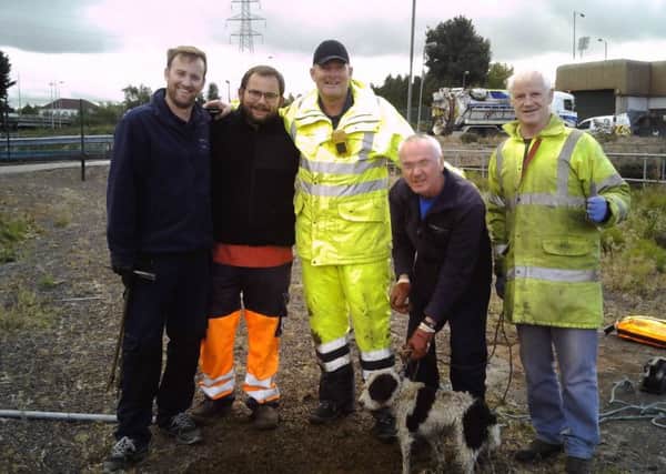 Rescuers: (L-R) Jerry and George from McAllister Brothers and NI Waters Ronnie Monkman, Gerry McErlane and Peter Neeson with Suzie