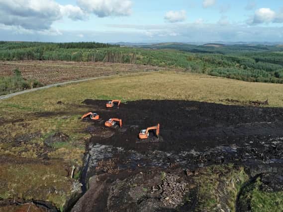 The dig site at bogland in Co Monaghan, where investigators are searching for the remains of teenager Columba McVeigh, who was abducted, shot and secretly buried in November, 1975, by the IRA.
