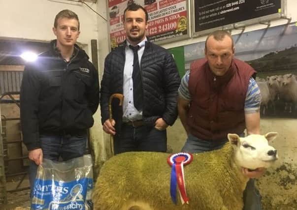 David Armstrong, Smyths Daleside representative, andjudge Cathal Harkin hands over the Smyths Daleside Champion Rosette to Alistair Breen, Drumderg Texels, for his Ram Lamb exhibit at Gortin Club Show and Sale.