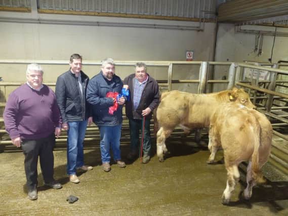 Hampton Hewitt and Nicholas Johnston , of sponsor Johnston Agri, with James and Kieran Rice with their champion and second place male.