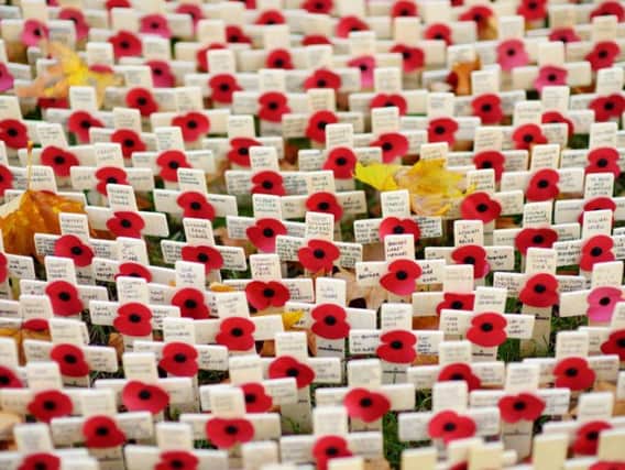 A Field of Remembrance has been erected on Donegall Square (Photo: Shutterstock)