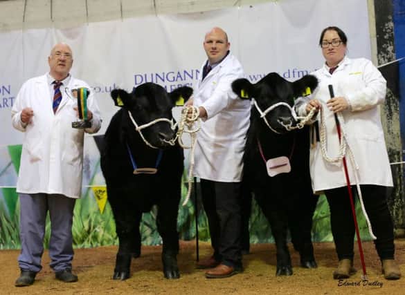 The Parke family, Adrian, Aaron and Gemma, Strabane, won the Moosbrook Perpetual Trophy for the best pair of calves at the NI Aberdeen Angus Club's 14th annual show in Dungannon. Picture: Edward Dudley