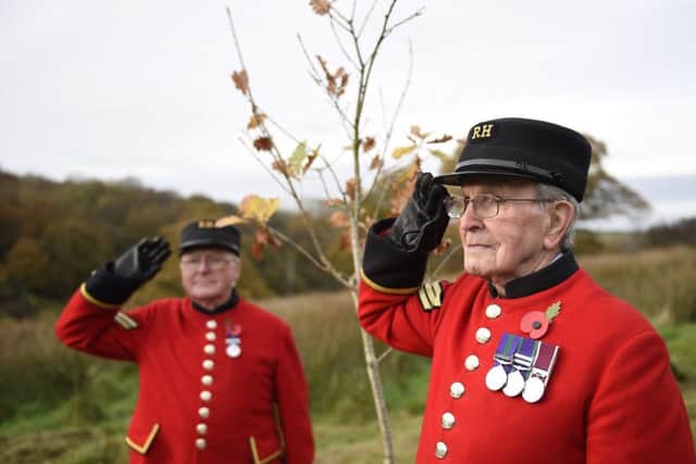 Chelsea Pensioners Walter Swan (right) and Eddie Reid led a tree-planting ceremony at the Woodland Trust's Brackfield Wood in the beautiful Faughan Valley. Picture: Michael Cooper