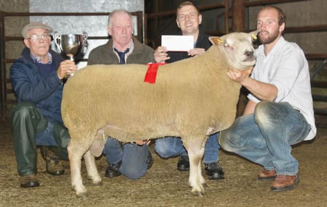 Champion ram shown by Stephen Cowan with Gilbert Anderson presenting the Anderson Trophy, judge Harold McBratney and John Henning representing FS Herron, Sponsor