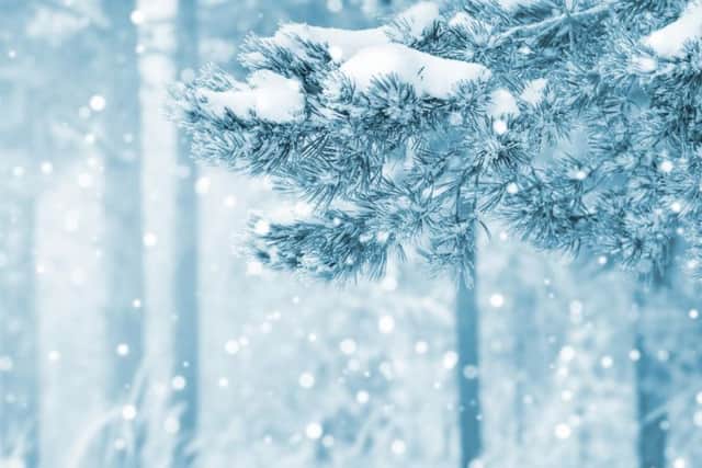 As December quickly approaches, forecasters say snow could hit Northern Ireland by the end of November