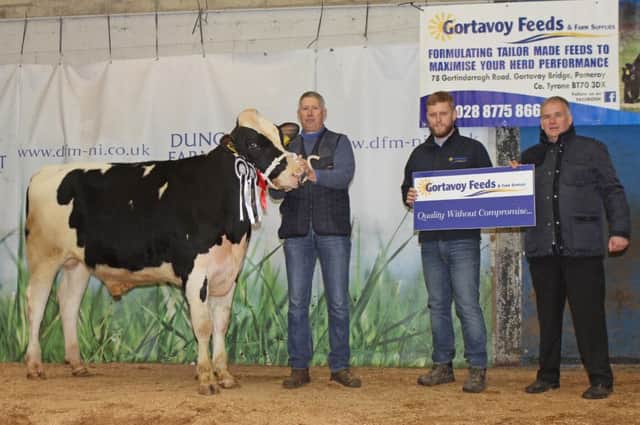 Supreme champion and PLI award winner at Holstein NI's 31st annual autumn bull sale was Relough Relax PLI Â£523 bred by R McLean and Sons, Donaghmore. Malcolm McLean was congratulated by Steven Gilkinson, Gortavoy Feeds, sponsor; and Scottish judge Jonny Cousar. Picture: Julie Hazelton