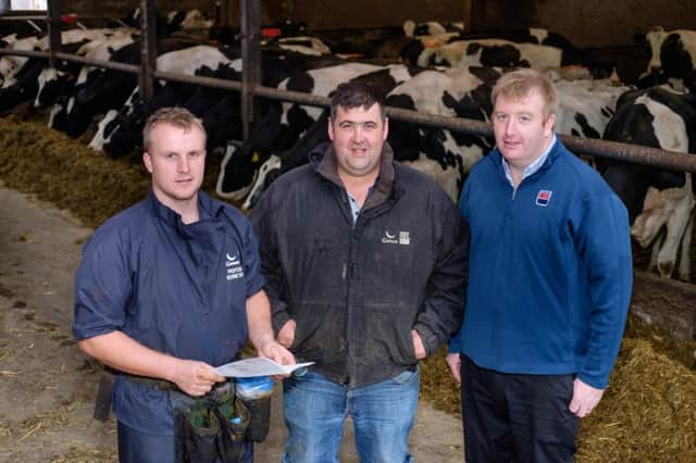 Farmer John Lyons, centre, discussing the latest pregnancy scan on his farm at Armagh with James Compston, Genus RMS and Conor Loughran, Genus ABS. Photograph: Columba O'Hare/ Newry.ie