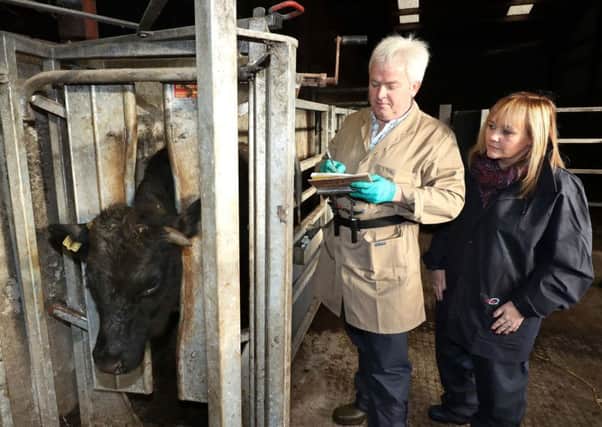Former agriculture minister Michelle McIlveen watches DAERA vet John Kennedy record cattle tested for bovine TB during a visit to a Co Down dairy farm