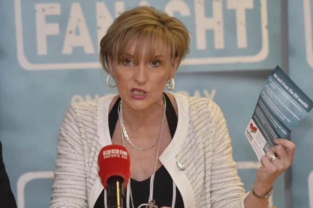 Sinn Fein was formerly a Eurosceptic party, but backed Remain in the 2016 referendum. Sinn Fein MEP Martina Anderson is pictured here campaigning in June 2016, ahead of the vote