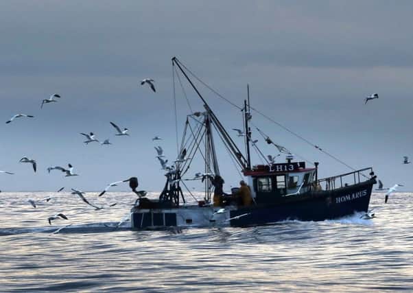 The committee said the NI fishing industry had a crushing shortage of workers