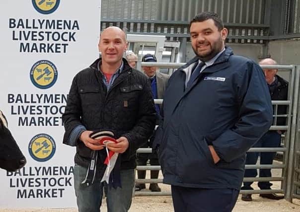 Glen Johnston, Ligoniel receiving his awards for Champion & Reserve Champion Dairy animals at Ballymena Livestock Markets Christmas Dairy show and sale, also included is Dennis Hunter from Danske bank who kindly sponsored the show
