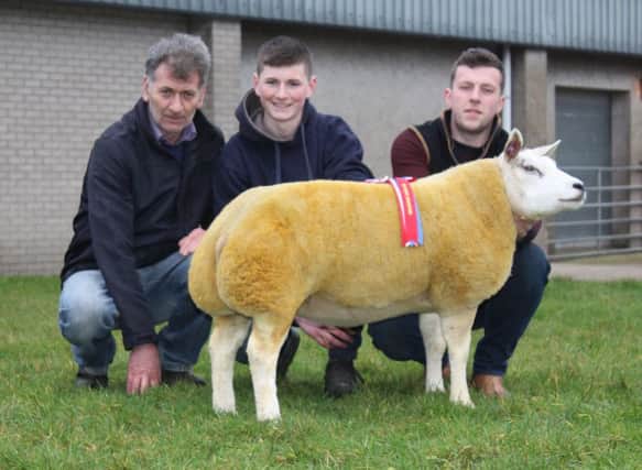 Matthew Burleigh, right, Matt's Flock, with the Show Champion, Matt's Caroline, which was purchased by Colm and Diarmuid Curran, Stoney Road Beltex, Kilbride, Trim, Meath for the top price on the day of 1750gns.