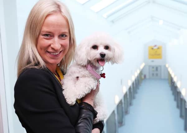 Suzie Carley Executive Director at the Dogs Trust in Dublin.   Photo: Niall Carson/PA Wire