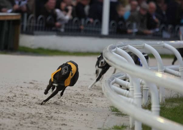 There will be no more racing at Drumbo Park Greyhound Stadium after the owners of the business took the decision to close it with immediate effect.