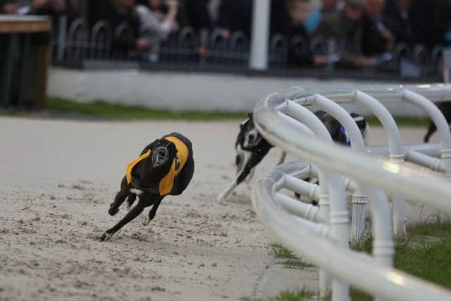 There will be no more racing at Drumbo Park Greyhound Stadium after the owners of the business took the decision to close it with immediate effect.
