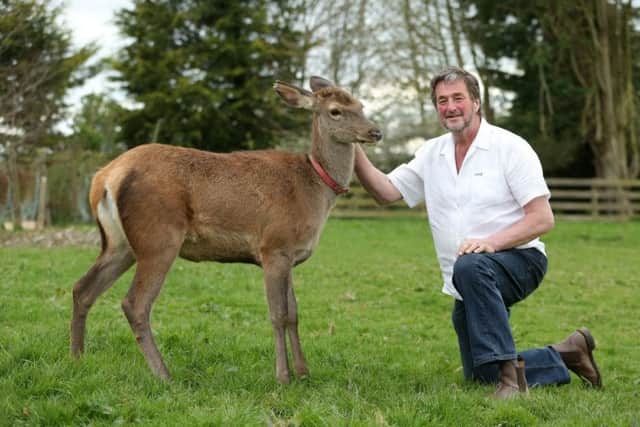 Kennys red deer appeared in Vikings, a TV series shot in Ireland