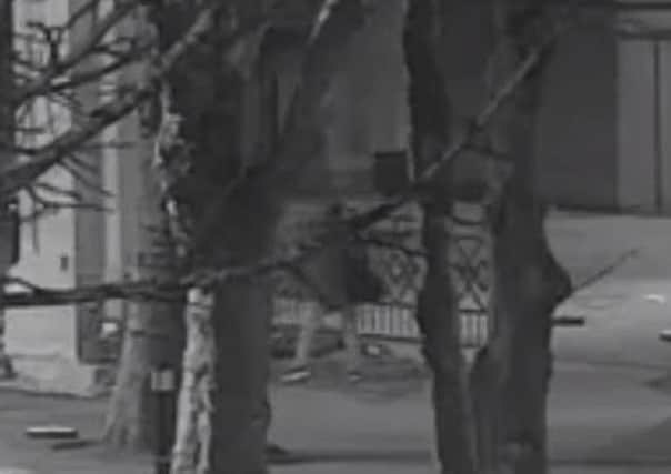 CCTV video grab issued by Wiltshire Police of Ashwani Kumar vandalising a Cenotaph War Memorial in Regent Circus, Swindon, in the early hours of Saturday.