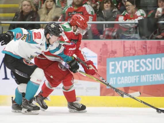 Action from Belfast Giants defeat in Cardiff. Helen Brabon
