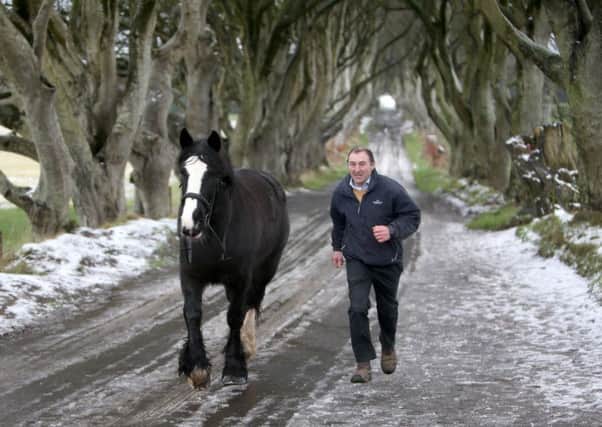 Danny McKinley from Sheans Horse Farm exercises his horse on the "Dark Hedges" as snow melts across Northern Ireland