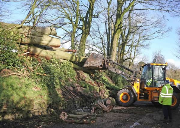 Workers clear the Springmount Road at Clough near Ballymena after a tree blocked the road in the overnight storm. Picture. Kevin McAuley/McAuley Multimedia