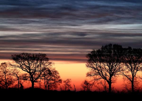 Sunrise near Hawkhurst in Kent on Thursday, as the cold weather continues and as the days get gradually longer. Photo: Gareth Fuller/PA Wire