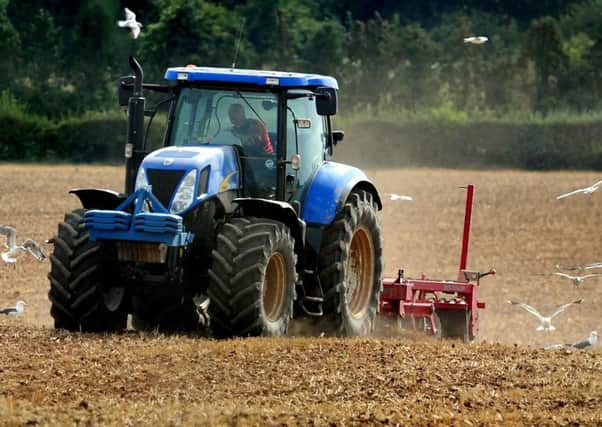 Incomes dropped in all Northern Ireland farming sectors except for cereals