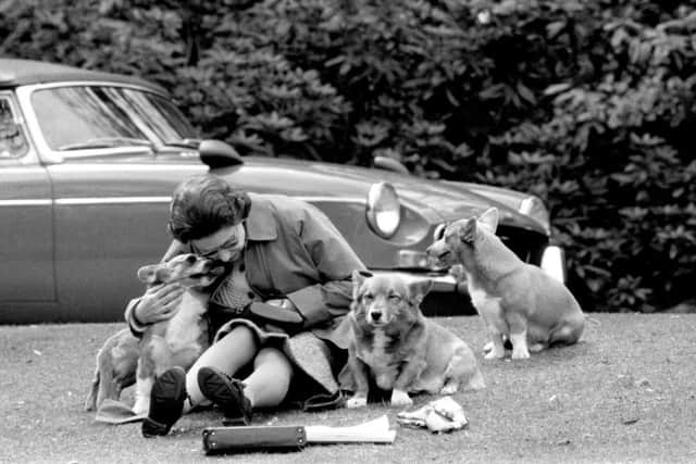 The Queen, sitting on a grassy bank with the corgis, at Virginia Water to watch competitors, including Prince Philip in the Marathon of the European Driving Championship, part of the Royal Windsor Horse Show.