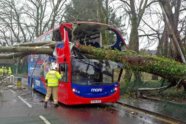 Twitter feed of Dorset Police of a tree which fell onto a bus in Poole, with no reported injuries, as Storm Erik brought strong winds to parts of the country. (Photo: Dorset Police/PA Wire)