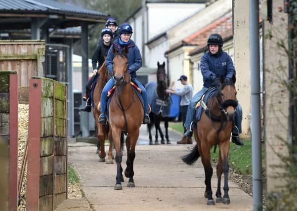 Stable staff at Kremlin House Stables, Newmarket