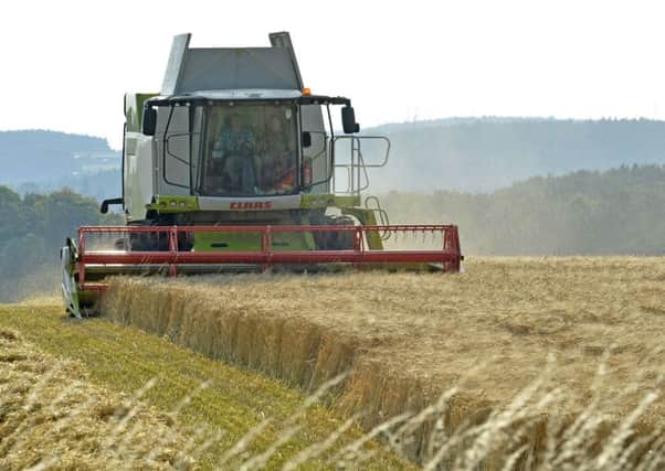 UK farmers could be left competing against much cheaper imported product