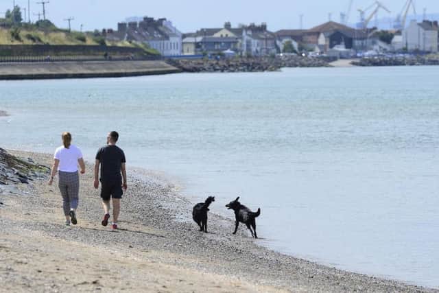 A couple and their dogs pictured at Holywood beach in Northern Ireland enjoying the warm weather in 2018. (Photo: Arthur Allison/Pacemaker)