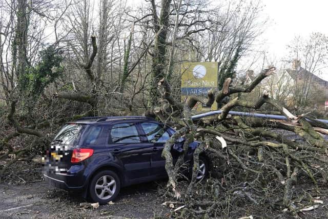 A tree is brought down on top of a car in Belfast during Storm Erik in February. (Photo: Pacemaker)