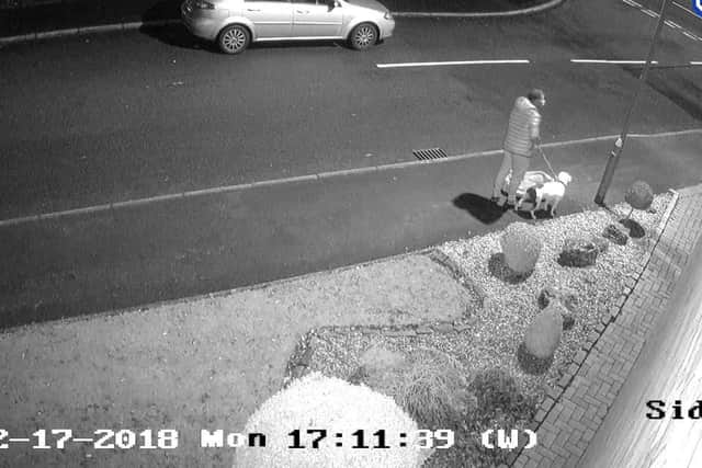 Undated handout CCTV screengrab issued by the RSPCA of a man abandoning a Staffordshire bull terrier in Trentham, Stoke-on-Trent on Monday December 17.