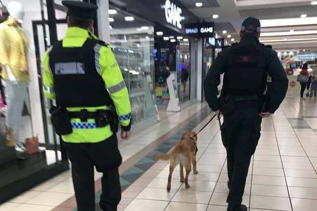 Police dog Jazz sniffed out more than a bargain at Rushmere.