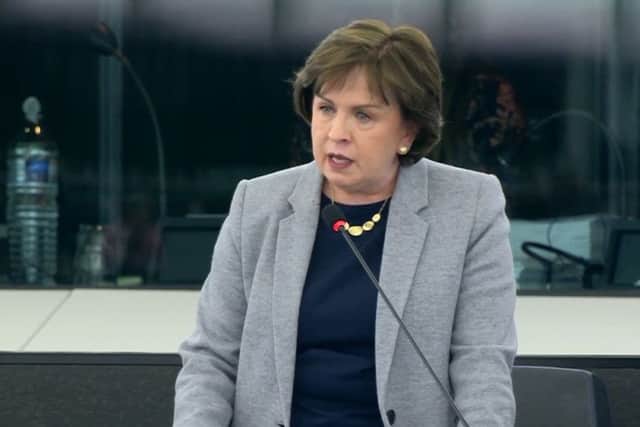 Diane Dodds speaking in the plenary session at the European Parliament in Strasbourg on Wednesday March 27 2019, perhaps the last time UK MEPs will speak in the chamber