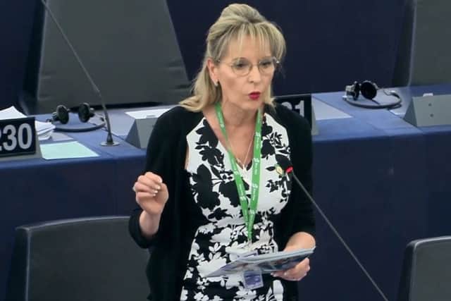 Martina Anderson speaking in the plenary session at the European Parliament in Strasbourg on Wednesday March 27 2019