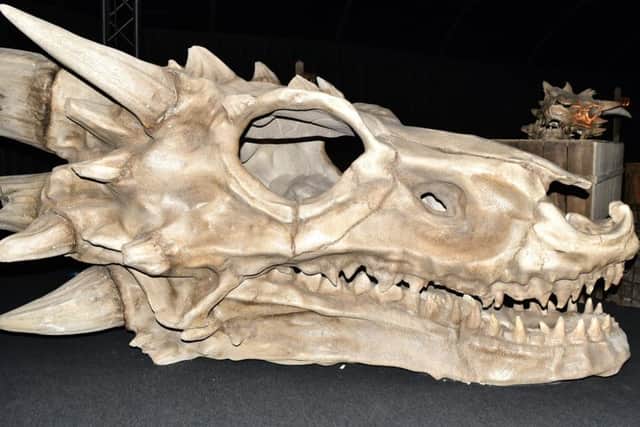 The Dragon Skull Pit is an exclusive for Belfast visitors. Pic Colm Lenaghan/Pacemaker