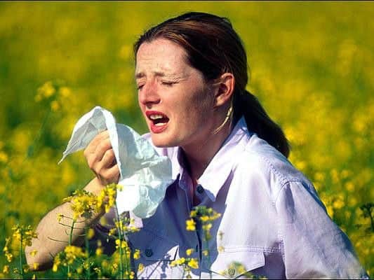 In instances of high or very high pollen people with underlying heart and lung problems should consider limiting the length of time they spend outside, says D.A.E.R.A.