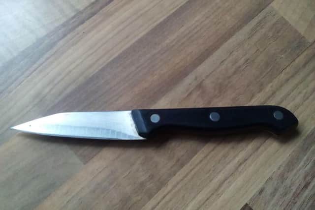 Knife found by children near Craigavon school