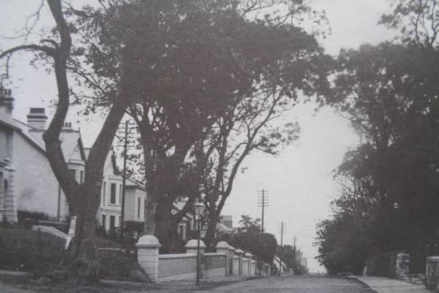 Quay Road, Ballycastle, in the 1920s when Dusty Rhodes could be seen "walking sedately. . .with staff in hand"