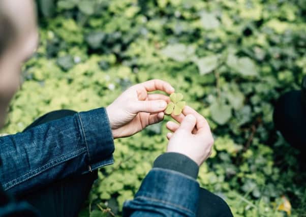 If you're a lover of fresh, seasonal produce, don't miss the special Foraging Dinner at Bert's Jazz Bar next Wednesday night