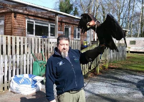Mike Gibb with golden eagle Griff. Pic: World of Owls