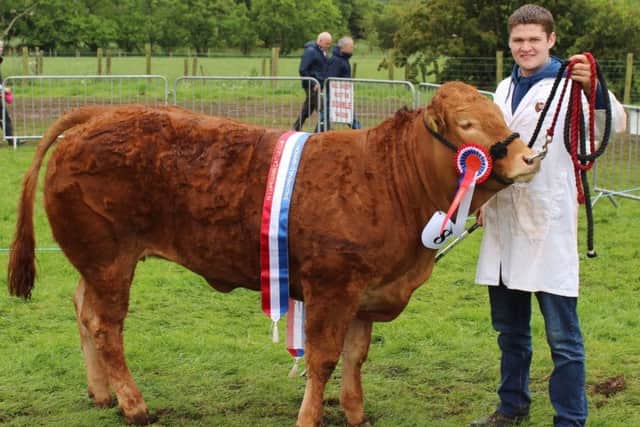 Sammy Clyde with the Inter-Breed Beef Champion at Ballymena Show, Clydevalley Osaka