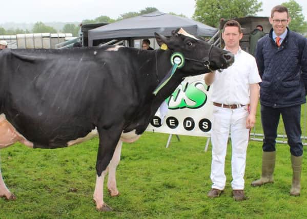 Rory Timlin holds the Supreme Champion of the Show at Ballymena  Robinview Atwood Vicky. He was joined by Philip Moore, from Moores Animal Feeds