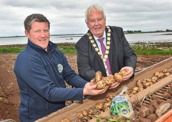 Richard Orr, chairman of Comber Earlies Growers Association, with Alderman Bill Keery, mayor of Ards and North Down