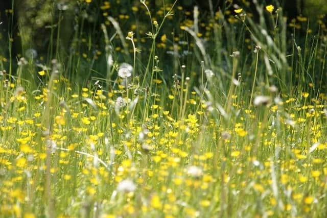 Pollen warning