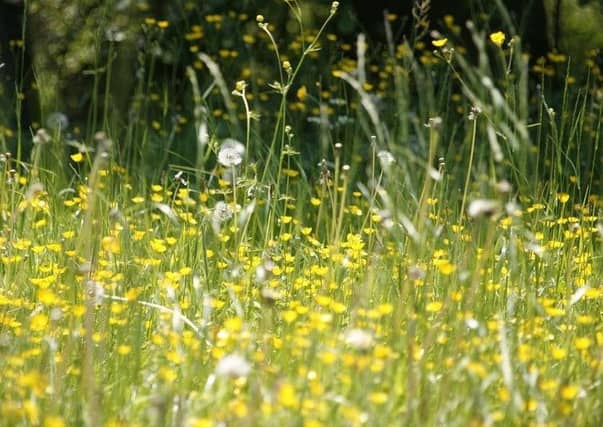 Pollen warning