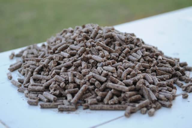 Wood pellets used in biomass boilers such as those installed under the RHI scheme.