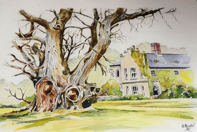 Billy Austin's watercolour painting of the famous tree within Scarva Demesne